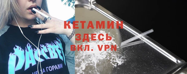 шишки Покачи