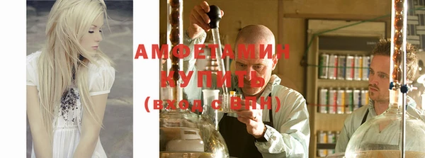 шишки Покачи