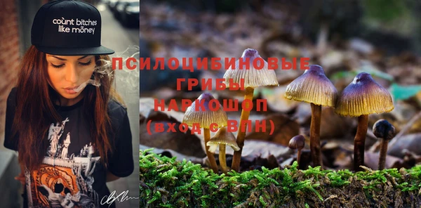 шишки Покачи