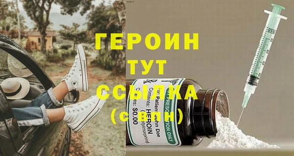 шишки Покачи