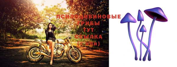 прущая мука Покровск