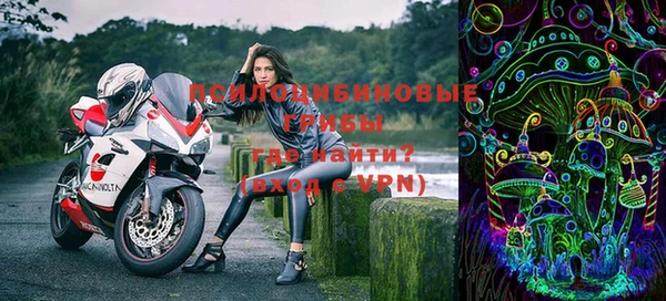 шишки Покачи