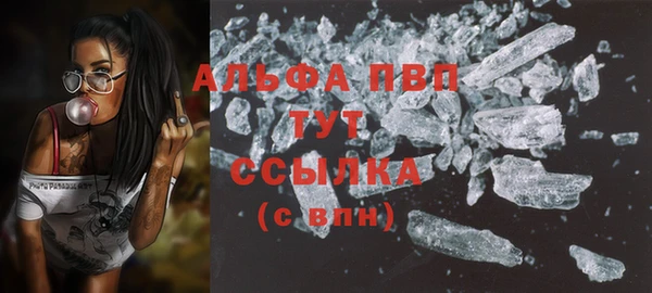 шишки Покачи