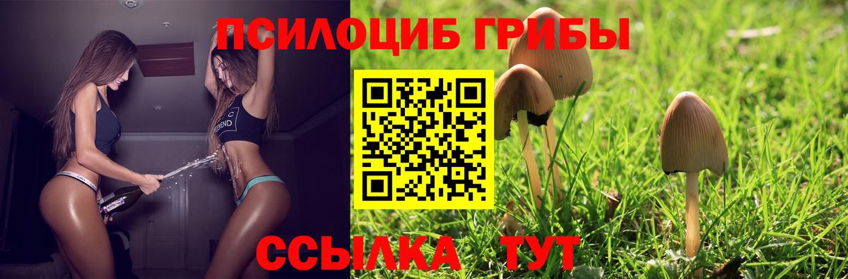 Киржач  Галлюциногенные грибы мухоморы  наркота  Вход с VPN  Псилоцибиновые грибы GOLDEN TEACHER 